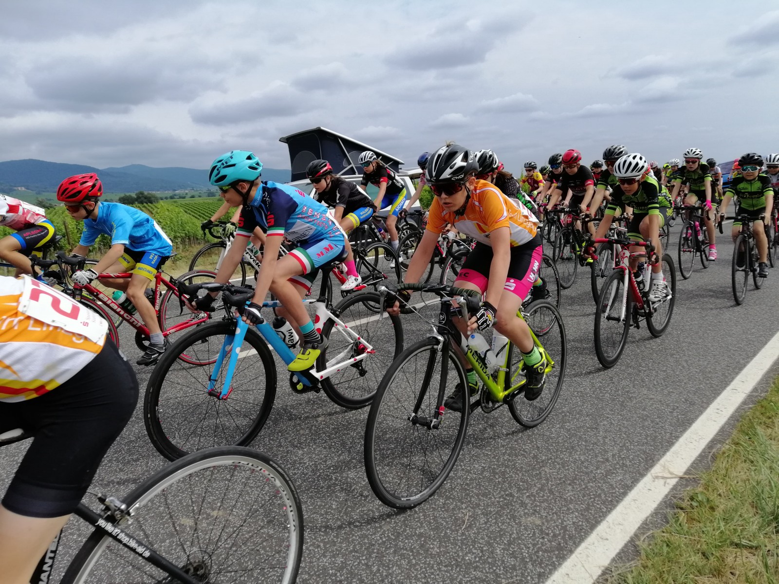 66073773_2071079706530566_4199376304836968448_n