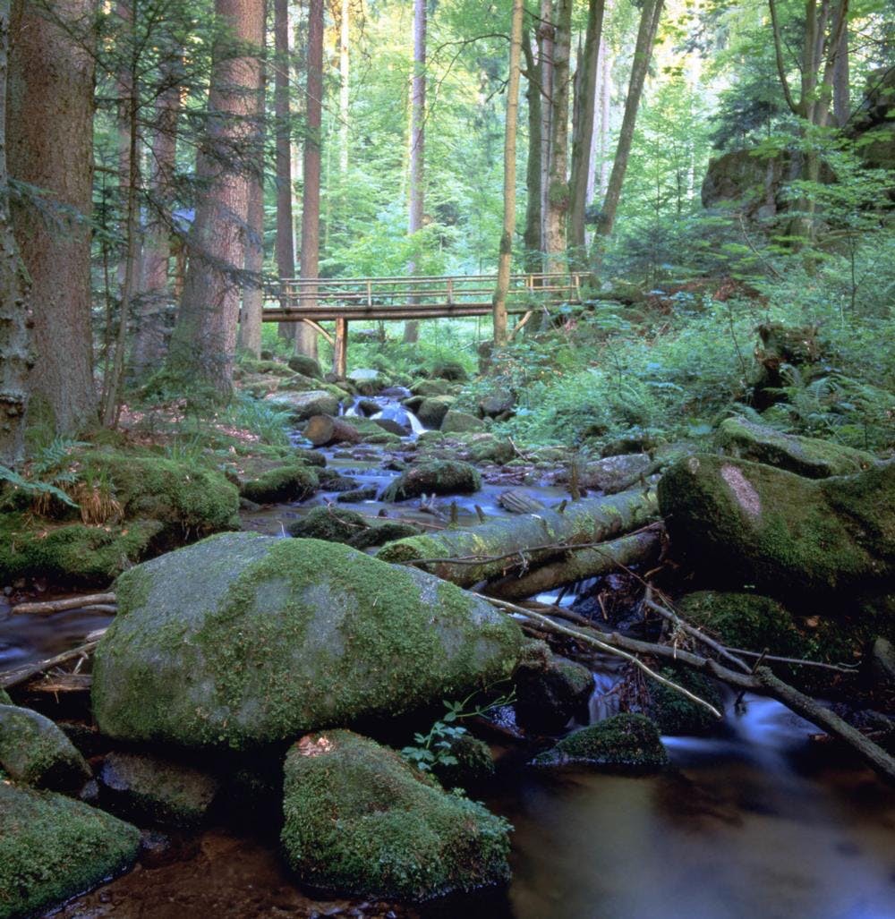 wanderung2